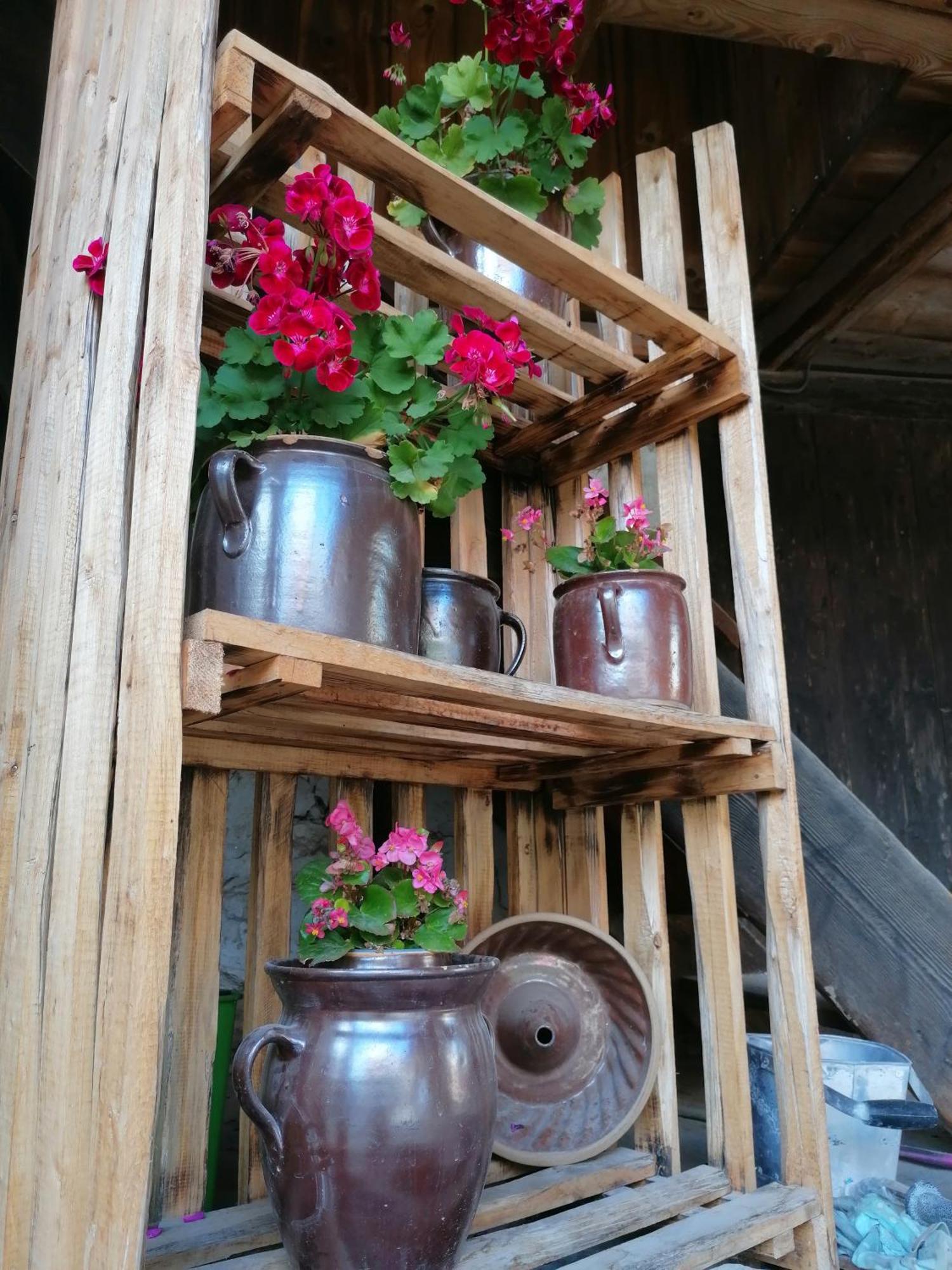 Ackerbuergerhof Ballstrasse 18 Quedlinburg Kültér fotó